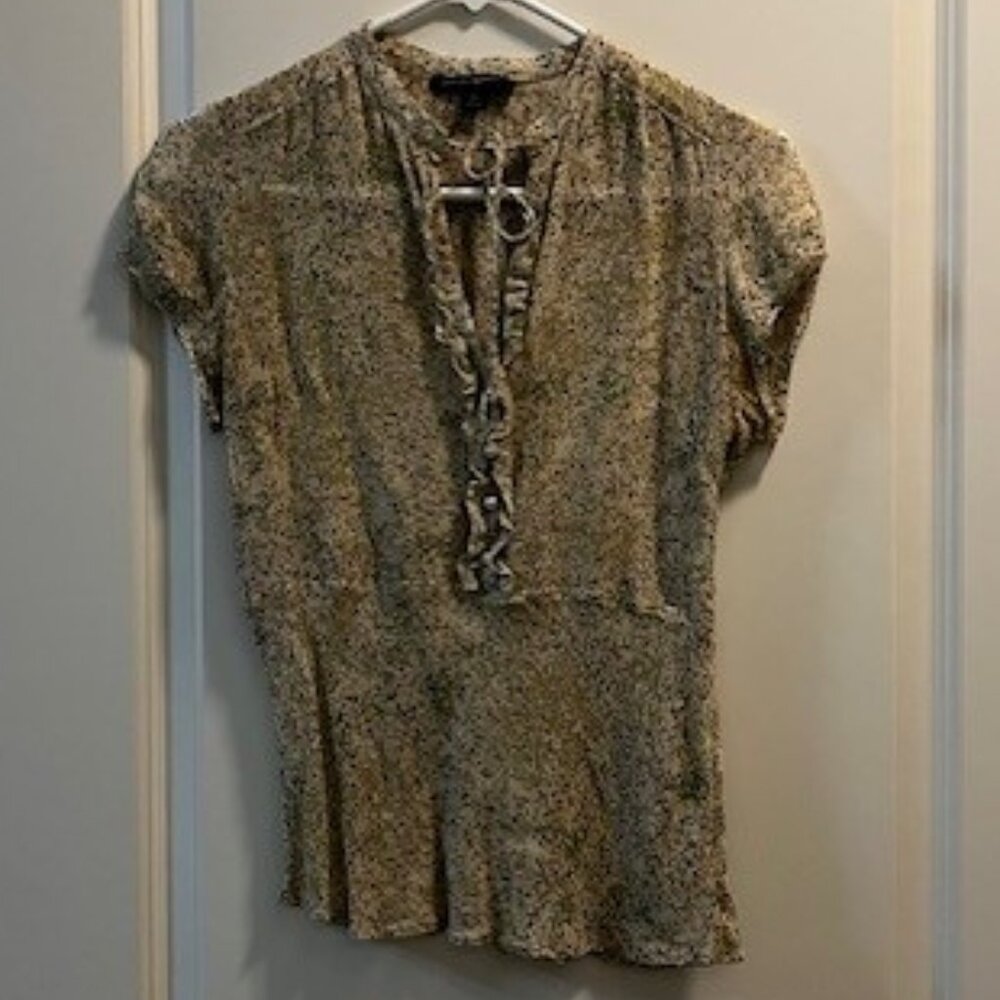 Banana Republic Short Sleeve Sheer Blouse sz 6